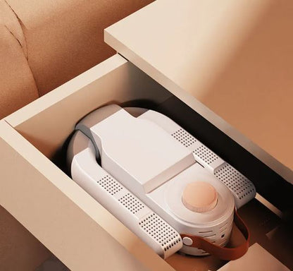 Electric Air Shoe Dryer